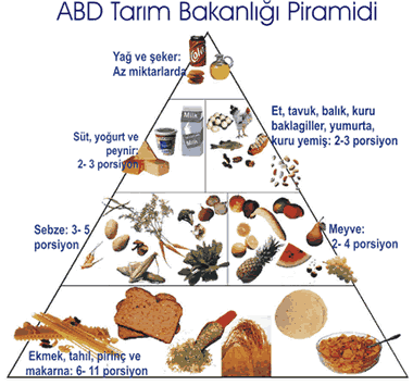 Diyet piramitleri: Piramit savaşları